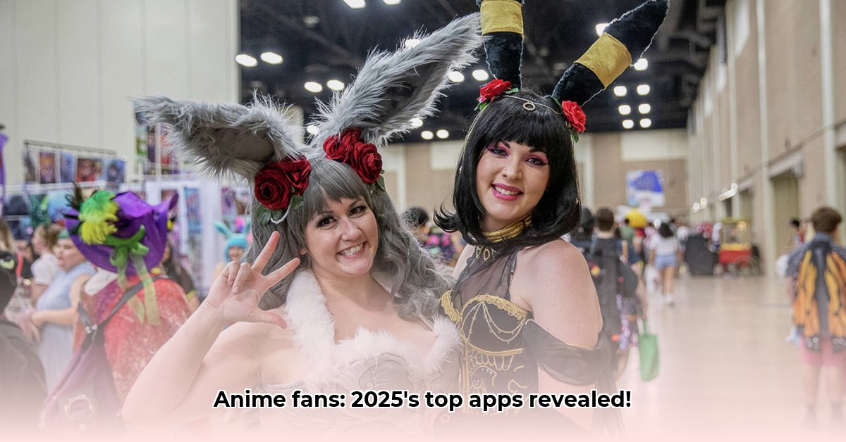 anime-fanz